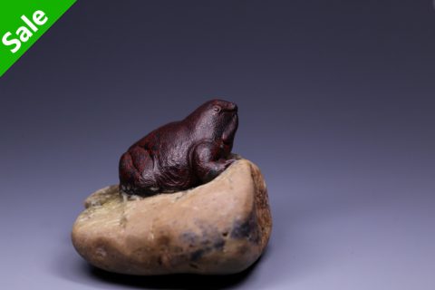 紫蛙（高涛）