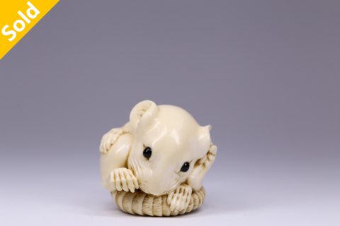 团鼠（阿夫克森）