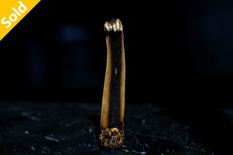 蜘蛛之丝 差根付（至水）