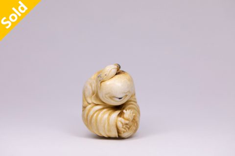 斑驳果（本）