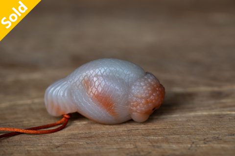 兰寿金鱼（高涛）
