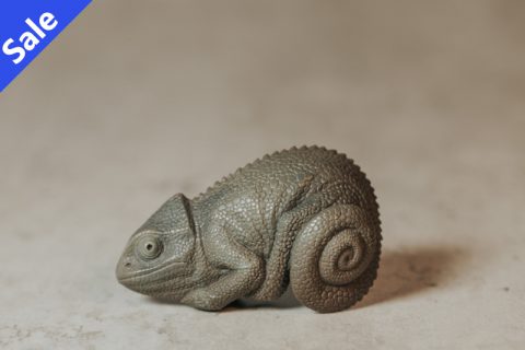 变色龙（秋坞居）