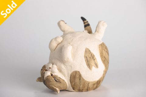 肥猫 想和我玩吗（正木卓）