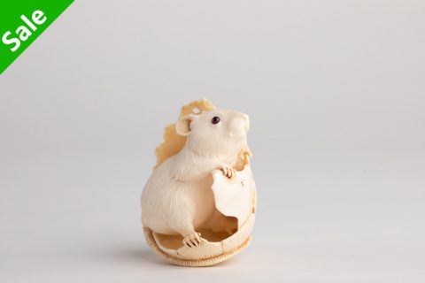 蛋壳鼠（奥列格）