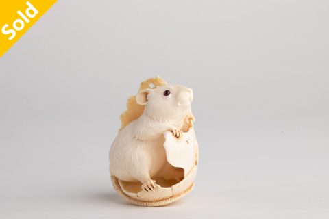 蛋壳鼠（奥列格）
