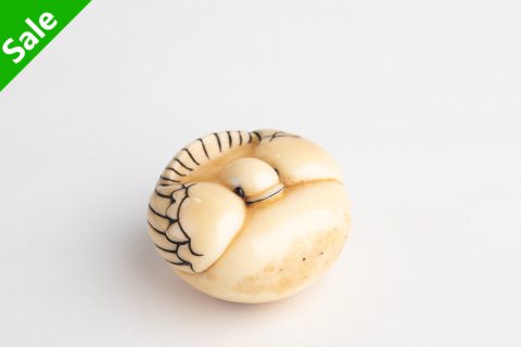 福良雀（乐虫）