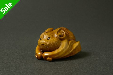 福蝠（中梶真武）