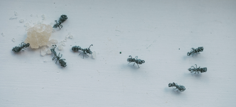 蚂蚁（结城琴乃）N22A99