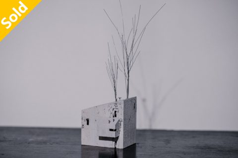 家G_1（结城琴乃）N22A28