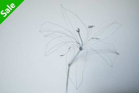 百合花（结城琴乃）N22A106