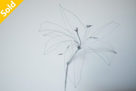 百合花（结城琴乃）N22A106