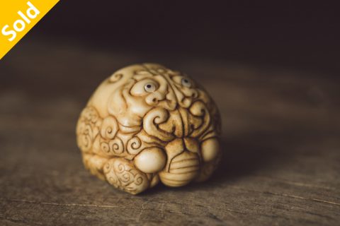 图甲蝉（金强）