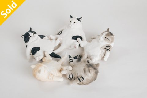 懒散的猫（正木卓）N22A137