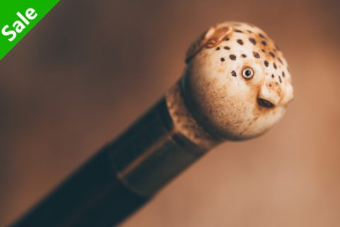 河豚手杖（谈子）