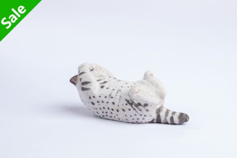 抱头猫（大野敦史）N23B345