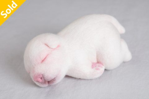 睡觉的幼犬 毛毡置物（川崎美波）N24B177