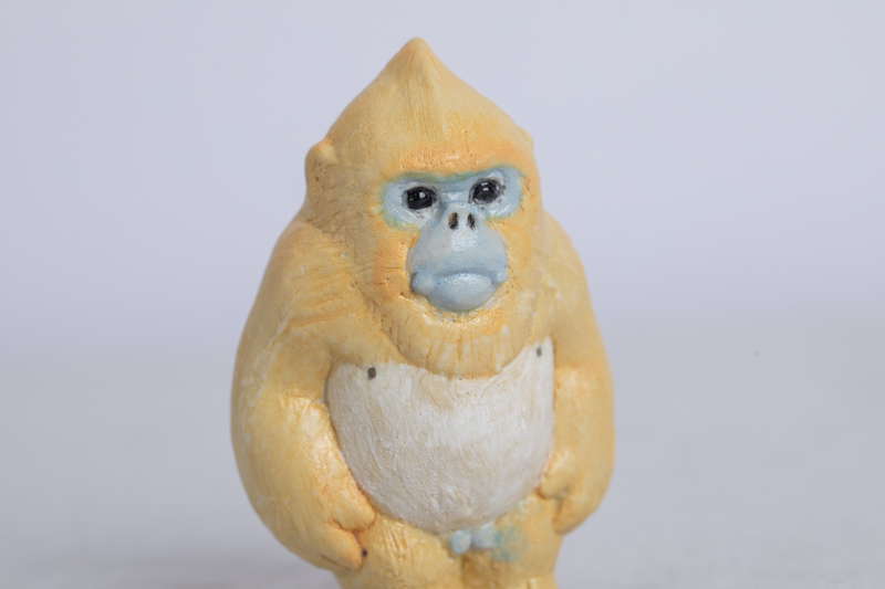 金丝猴（大野敦史）N24B77