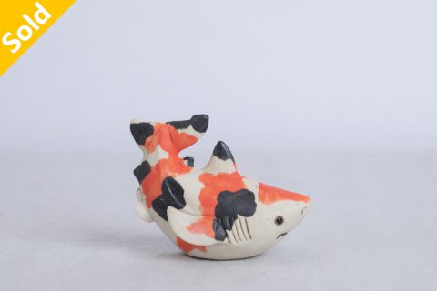 锦鲤鲨（大野敦史）N24B77