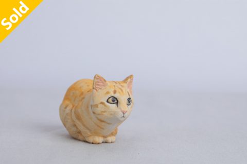 橘猫（大野敦史）N24B77