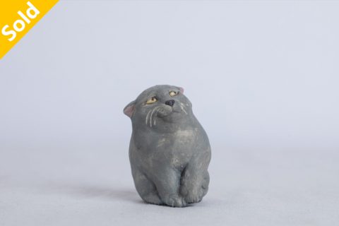 流汗猫（大野敦史）N24B77