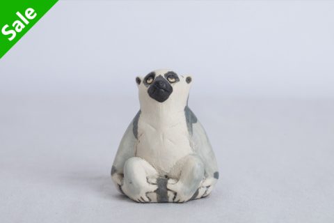 狐猴（大野敦史）N24B77