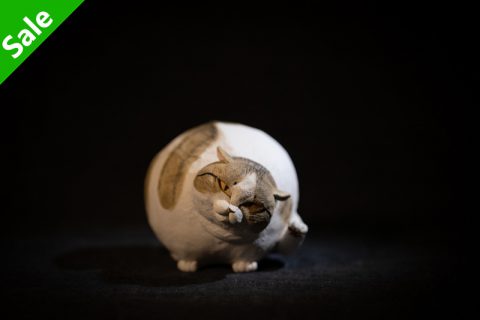 肥猫 挠痒（正木卓）N24B313