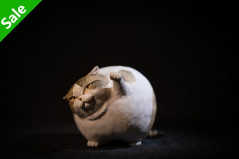 肥猫 探手（正木卓）N24B316