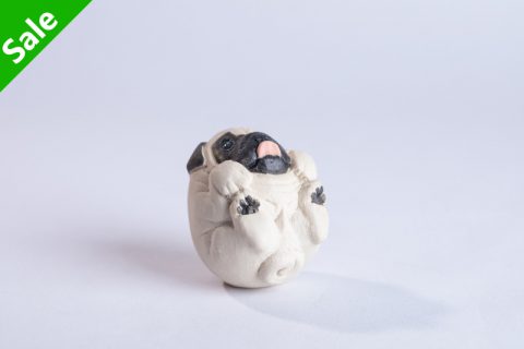 八哥犬（大野敦史）N24B77
