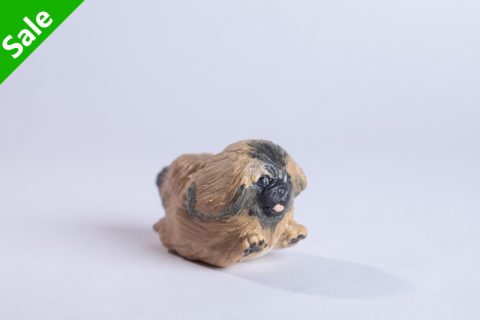 京巴犬（大野敦史）N24B77