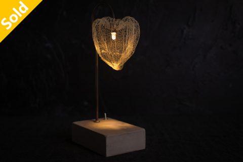 Chinese lantern plant 森之灯（西别府久幸）N24B203