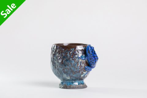 蓝箭蛙杯（腰越祐贵）N24B435