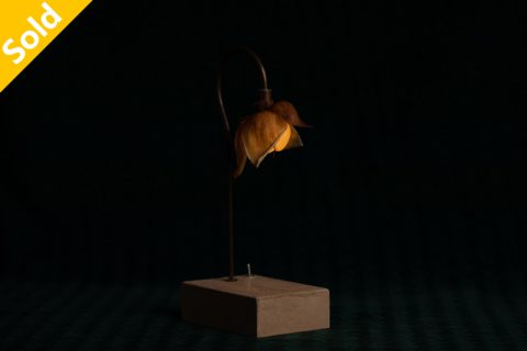 Wood rose 森之灯(西别府久幸)N25B019