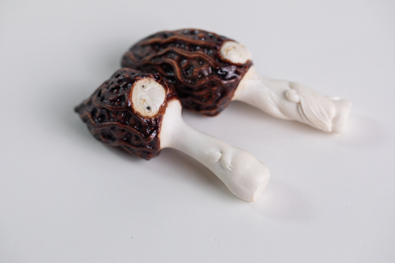 左顾右盼（本）