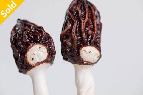 左顾右盼（本）