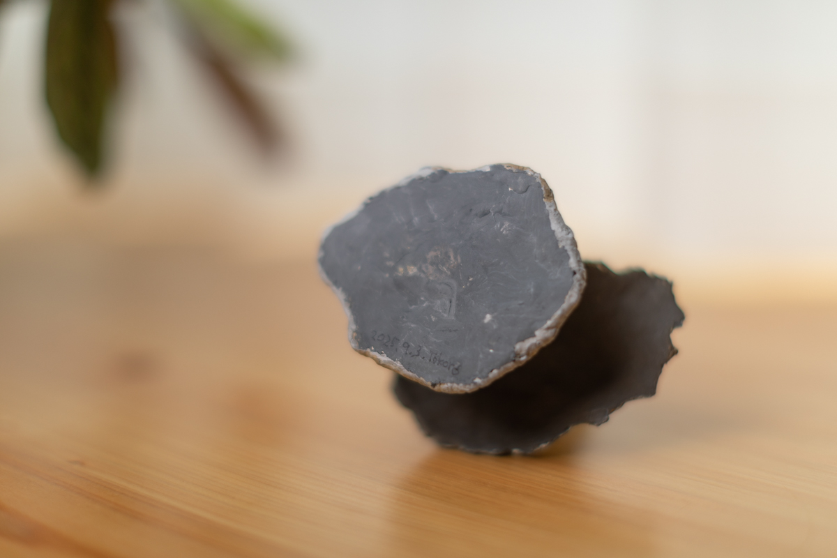风指引你方向 置物（所正泰）
