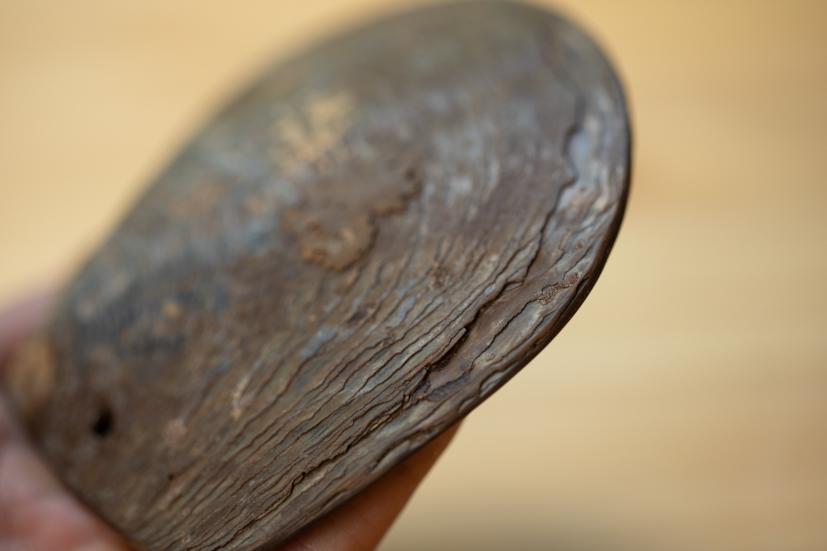 黑珍珠母贝雕刻侧脸骷髅（冢虎）