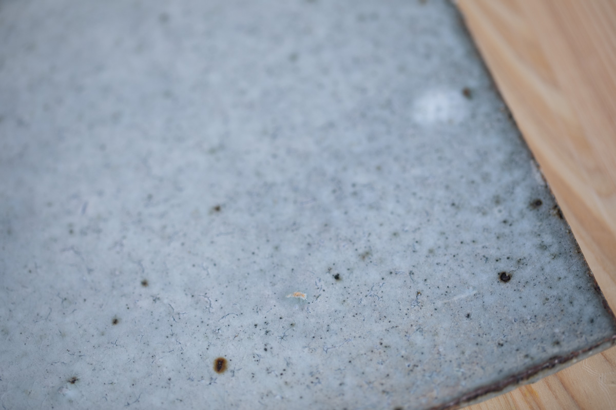 方形平皿（八田亨）