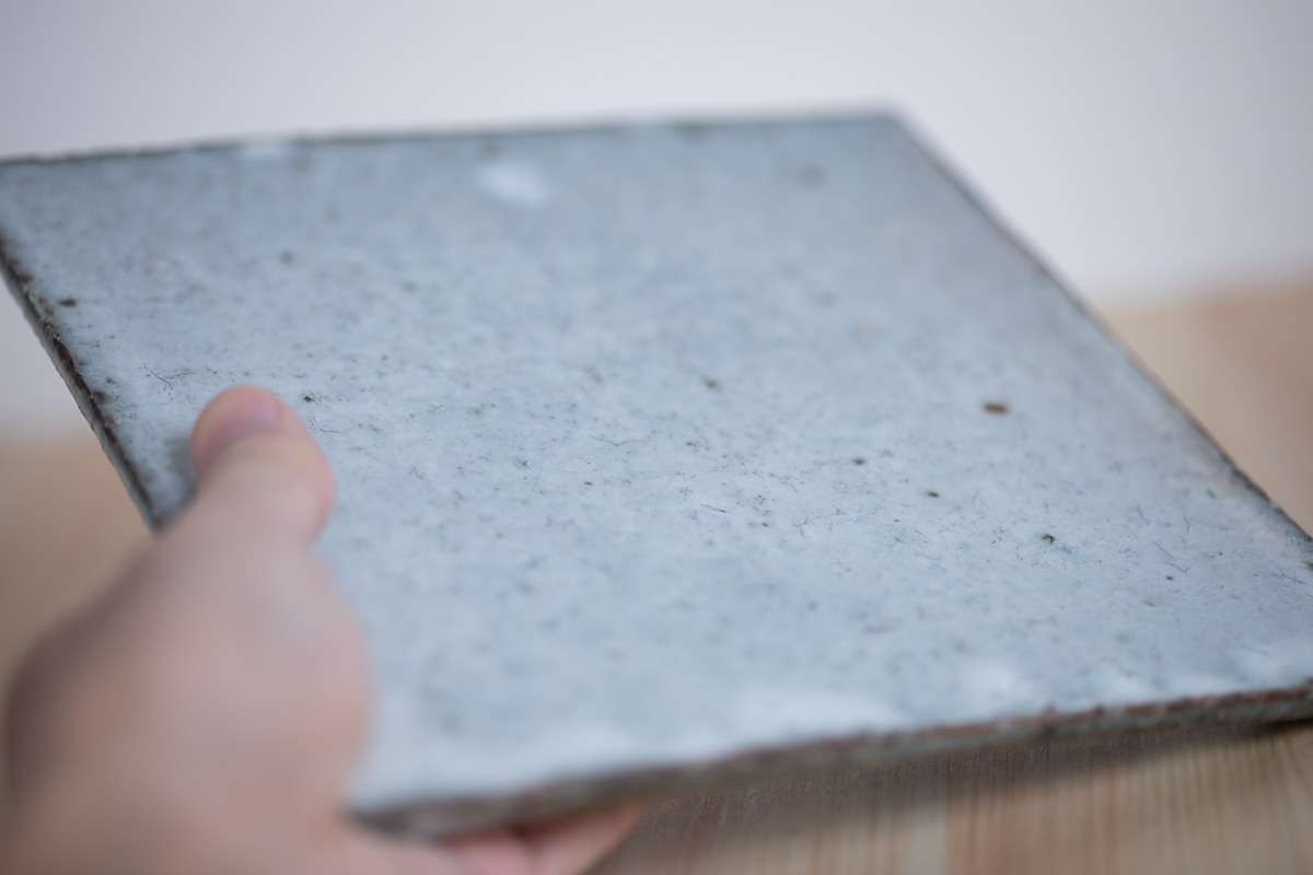 方形平皿（八田亨）