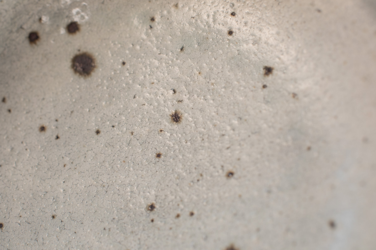 粉引大皿（铃木健史）