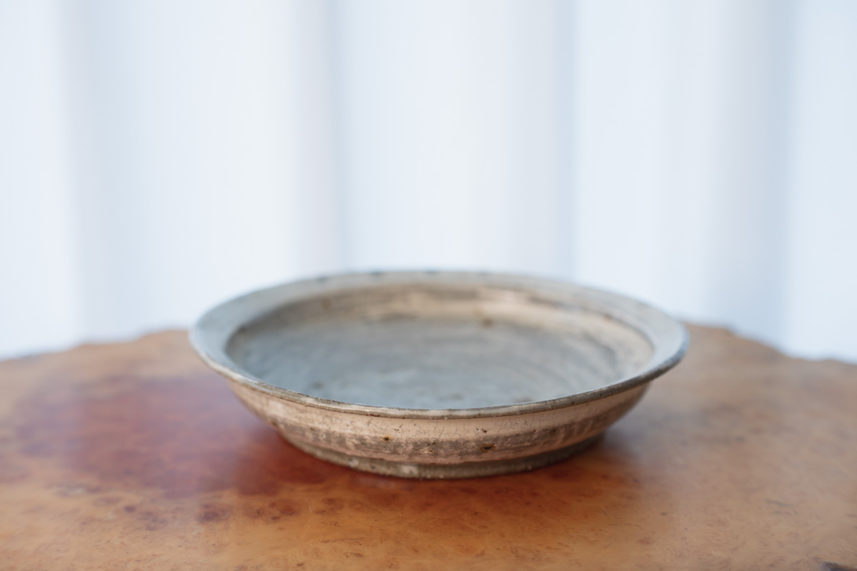 刷毛目浅皿(坪井俊宪)