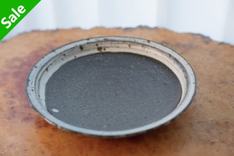 刷毛目浅皿（坪井俊宪）