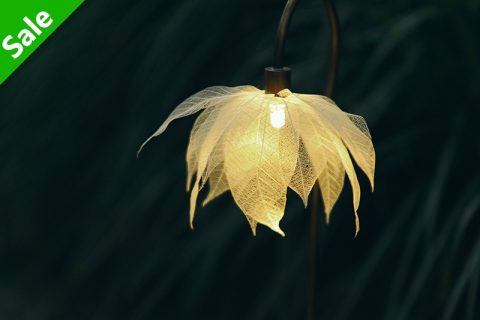 Leaf vein 森之灯（西别府久幸）