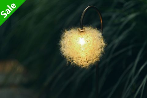 Dandelion 森之灯（西别府久幸）