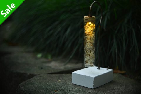 Glass tube 森之灯（西别府久幸）