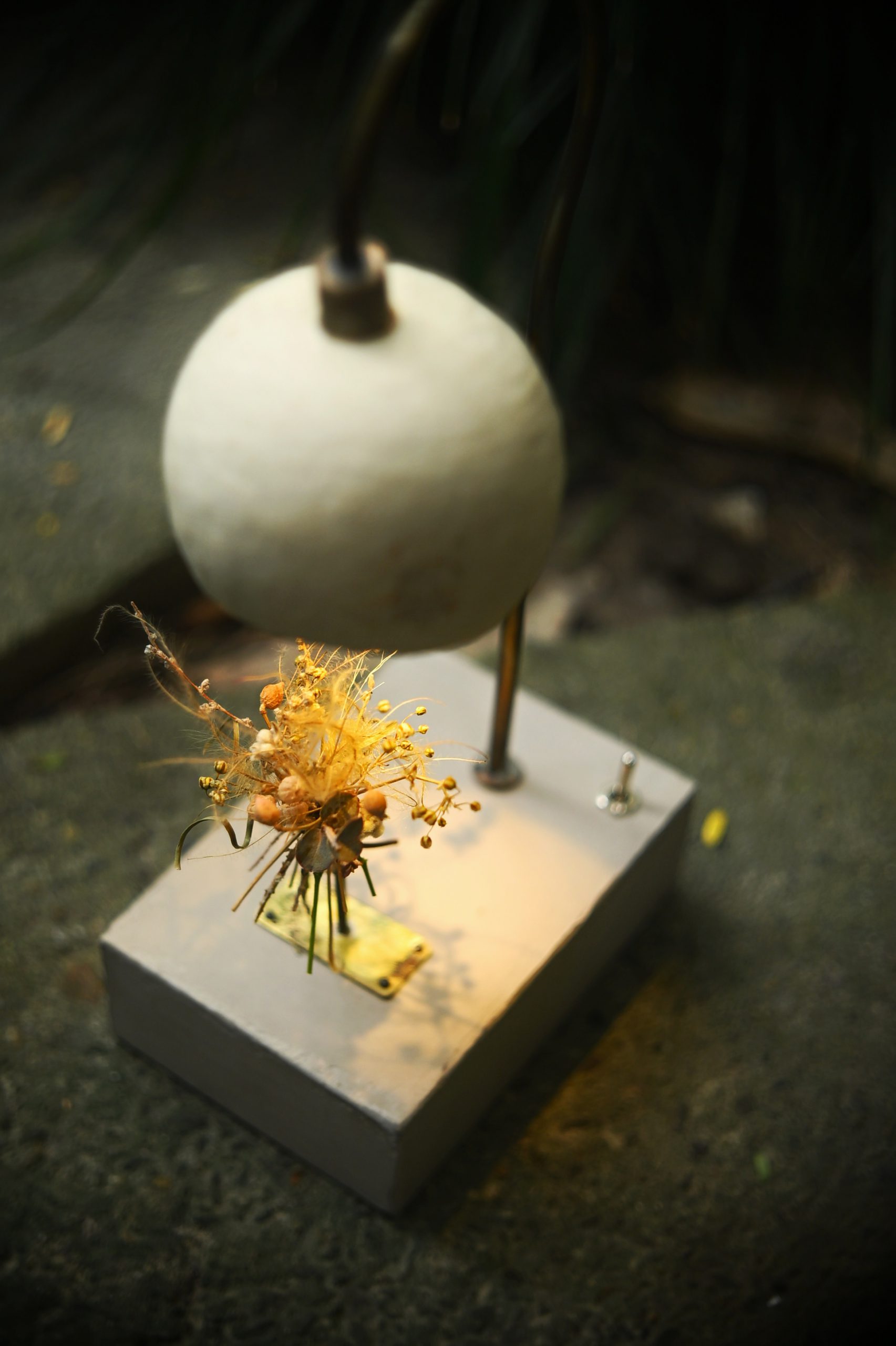 Bouquet 森之灯(西别府久幸)