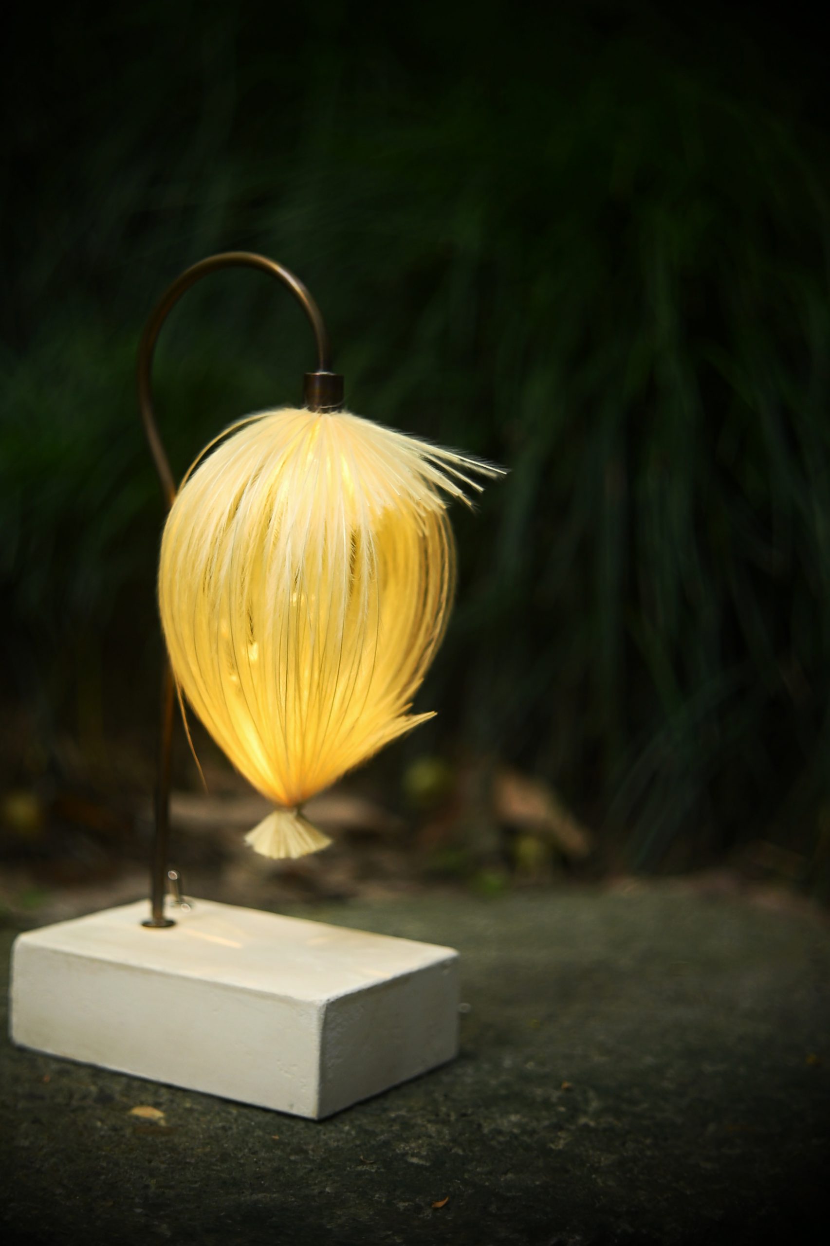Stipa 森之灯(西别府久幸)