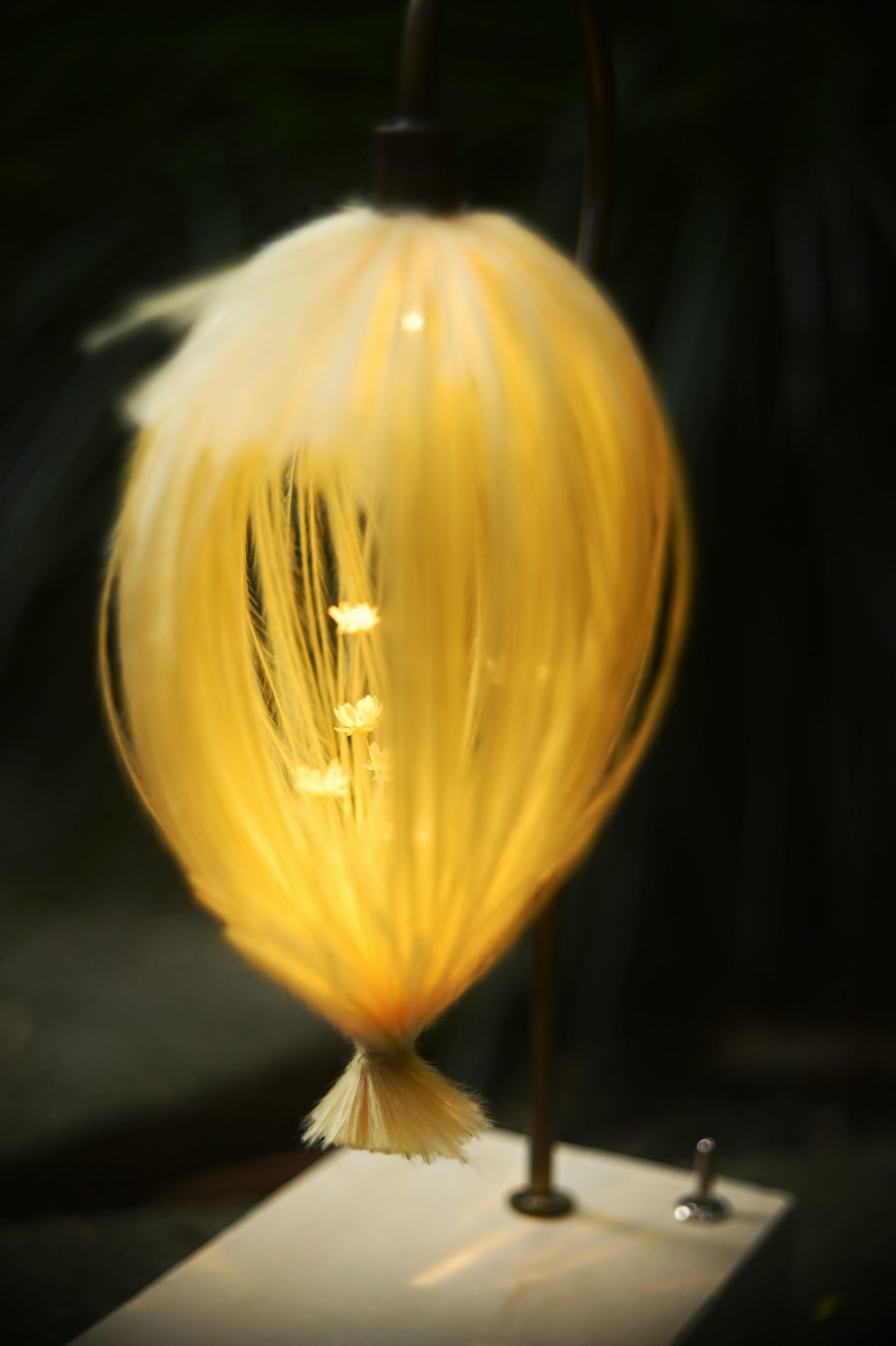 Stipa 森之灯(西别府久幸)