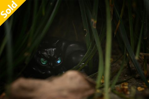 玄猫 根付（子一）